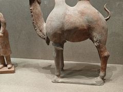 -敦煌市博物馆