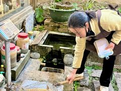 -马帮菜馆·美味野生菌