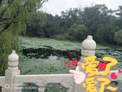 -二一九公园
