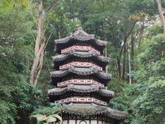 -深圳国际园林花卉博览园