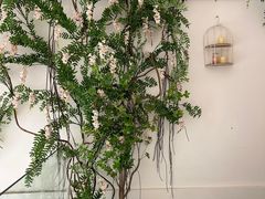 -左悦·艾灸调理·推拿按摩·精油SPA(卓悦汇店)