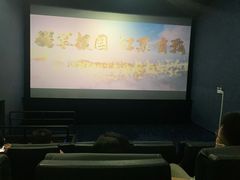 -幸福蓝海国际影城(河西店)