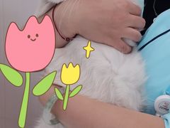 -艾贝尔宠物医院 ·中兽医·宠保定点(北门桥店)
