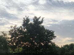 -北坞公园