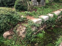 -雨花胜境