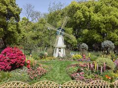 -上海共青森林公园