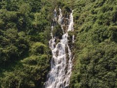 -东莞市大岭山森林公园