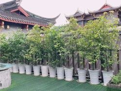 点击看大图 -爱弥儿月子中心(省医院店)
