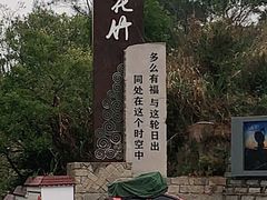 -花竹村