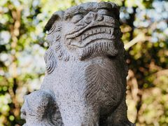 -阅江楼风景区