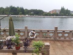 -千禧万福汉亭舫·船舫苏宴