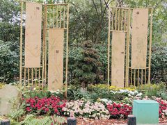 -上海共青森林公园