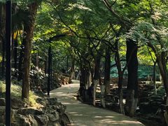 -虞山风景区