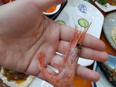 -银子铁板烧料理自助餐(人民广场店)