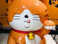 -猫抓烤肉(春熙路店)
