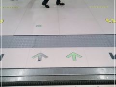 -刘胖子家常菜·蹄花焖藕(中南店)