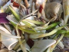 -马黑哥椒麻鸡(清江山水店)