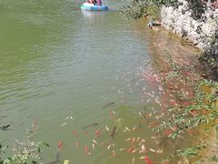 -黄花溪