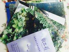 -柯达靓之彩影像网络(明瓦廊店)