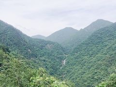 -东天目山风景区
