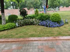 -上海交通大学（闵行校区）-李政道图书馆