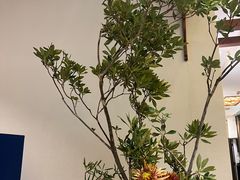 -眉州东坡(石景山店)