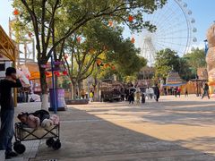 -横店影视城梦幻谷园区