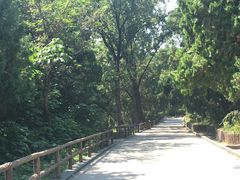 -浮来山风景区