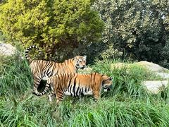 -北京野生动物园