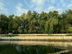 -皇家御河游(紫御湾码头)