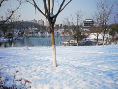 -镇江市南山风景名胜区竹林景区