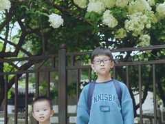 -常熟方塔园