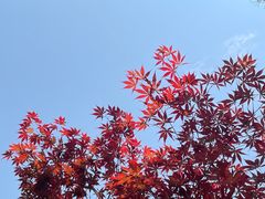 -南翔镇银翔湖公园