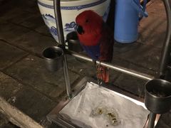 -丽江庭院之爱在路上(西单店)