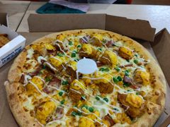 -达美乐比萨(国瑞北路店)