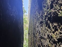 -汤旺河林海奇石景区