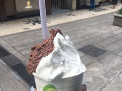 -柠檬车露(卖草地店)
