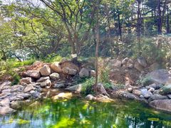 -沂蒙山旅游区云蒙景区(蒙山国家森林公园)