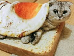 -李氏食品(苗庄店)