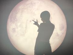 -STARRY CAFE & LOUNGE BAR(高新店)