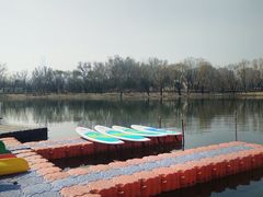 -WhaleSports户外水上运动俱乐部(朝阳公园店)