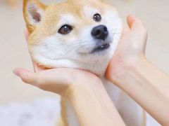 -俭朴菜(鲁磨路店)