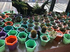 -王红军龙虾(新民路店)