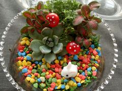 -天津波士信达奔驰4S店(卫津南路店)