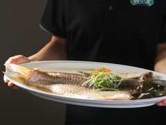 -鸽小宝(深圳首店)