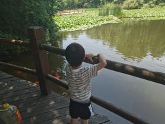 -天目湖山水园