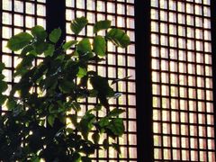 -苏州碑刻博物馆