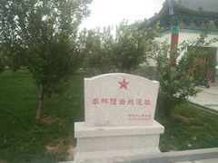 -千年枣林游览区