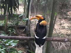 -吉隆坡雀鸟公园