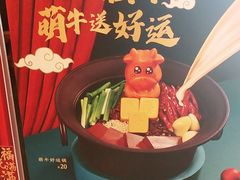 -呷哺呷哺(望京新世界店)